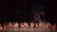 王室最新爆料视频下载,最新爆料视频深度解析  第3张